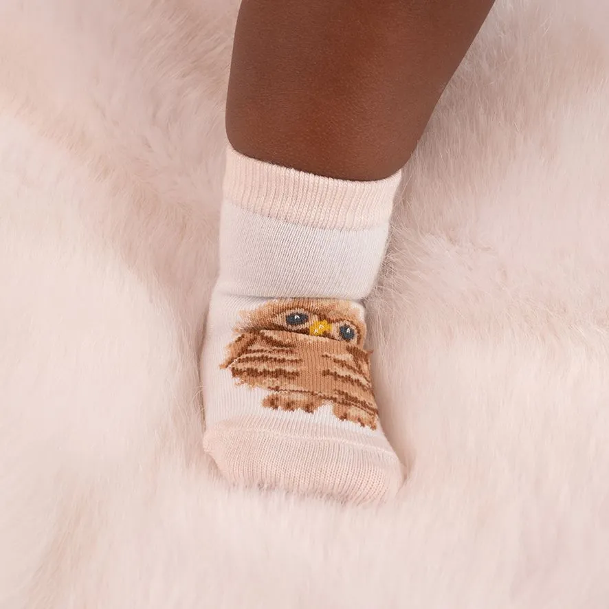 Baby Sock Gift Set - LTW-SOCK001 - Little Forest (0-6 mos)