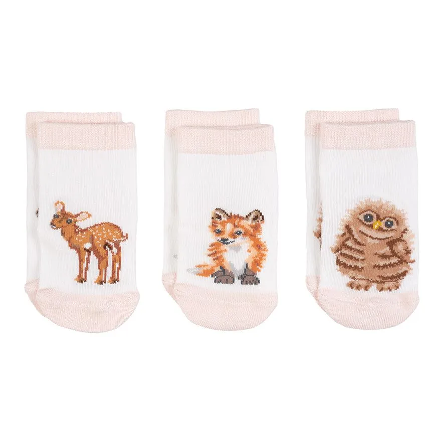 Baby Sock Gift Set - LTW-SOCK001 - Little Forest (0-6 mos)
