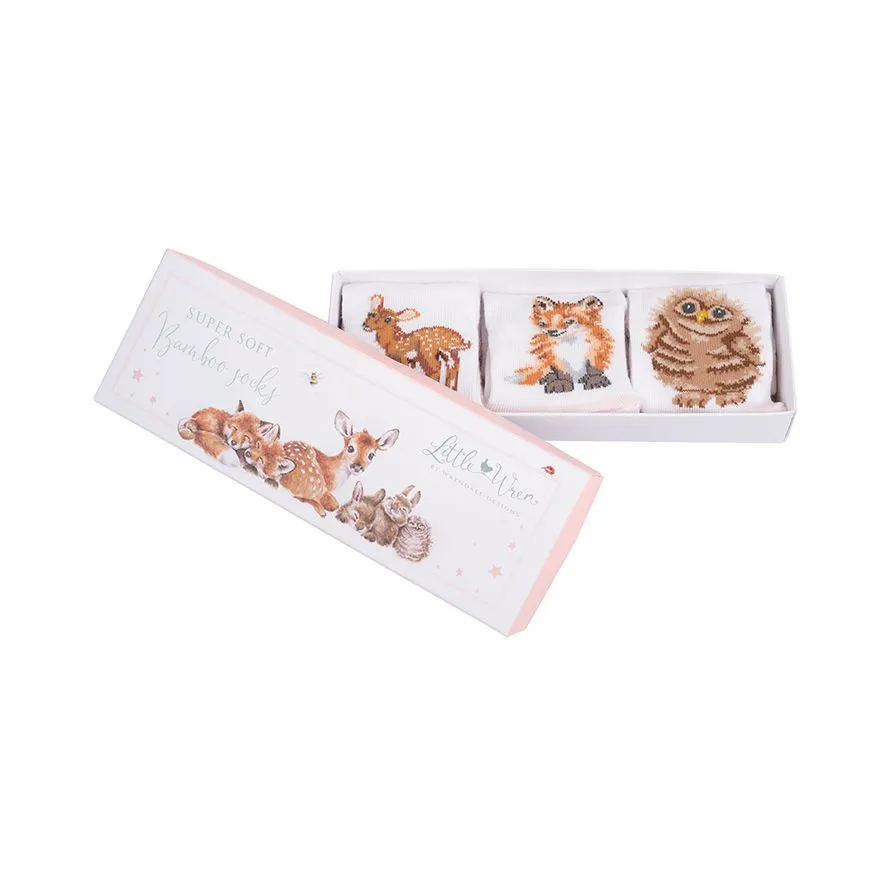 Baby Sock Gift Set - LTW-SOCK002 - Little Forest (6-12 mos)