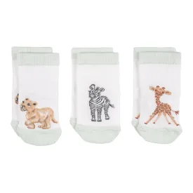 Baby Sock Gift Set - LTW-SOCK005 - Little Savannah (0-6 mos)