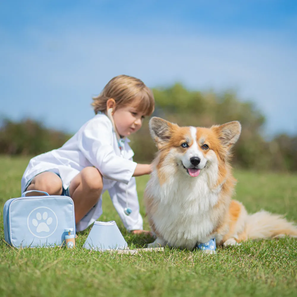 Bigjigs Toys Wooden Veterinary Play Set