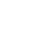 Captain Obvious