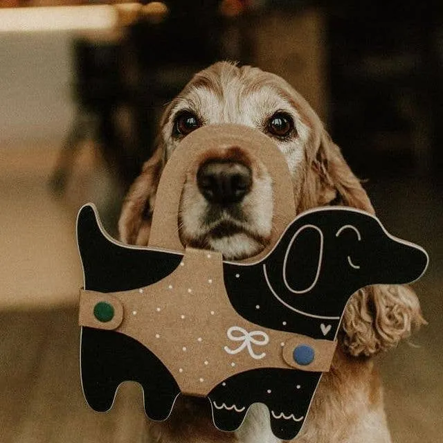 Dog Shaped Chalk Board / with Chalk
