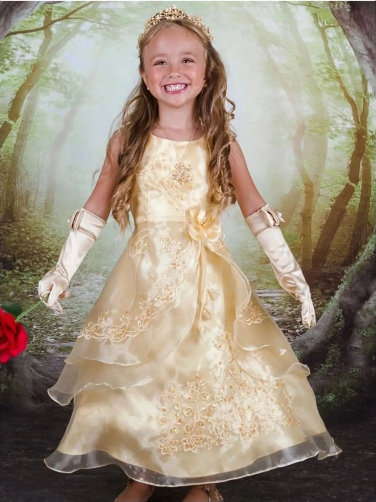 Girls Belle from Beauty and the Beast Inspired Princess Dress
