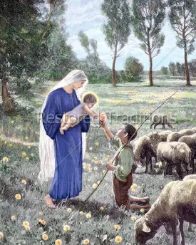 Madonna & the Shepherd – Wolfe