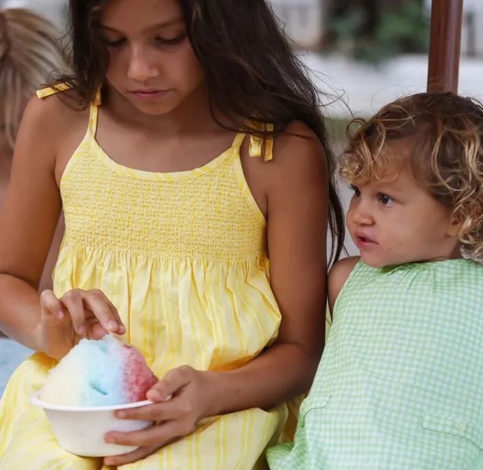 MINNOW~Pineapple stripe smocked dress w ties