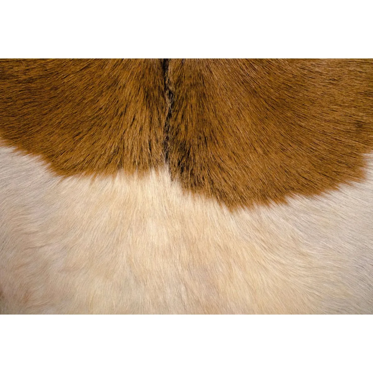 Rio Cool Armchair - Cool Brown, Leather/Goat Hair