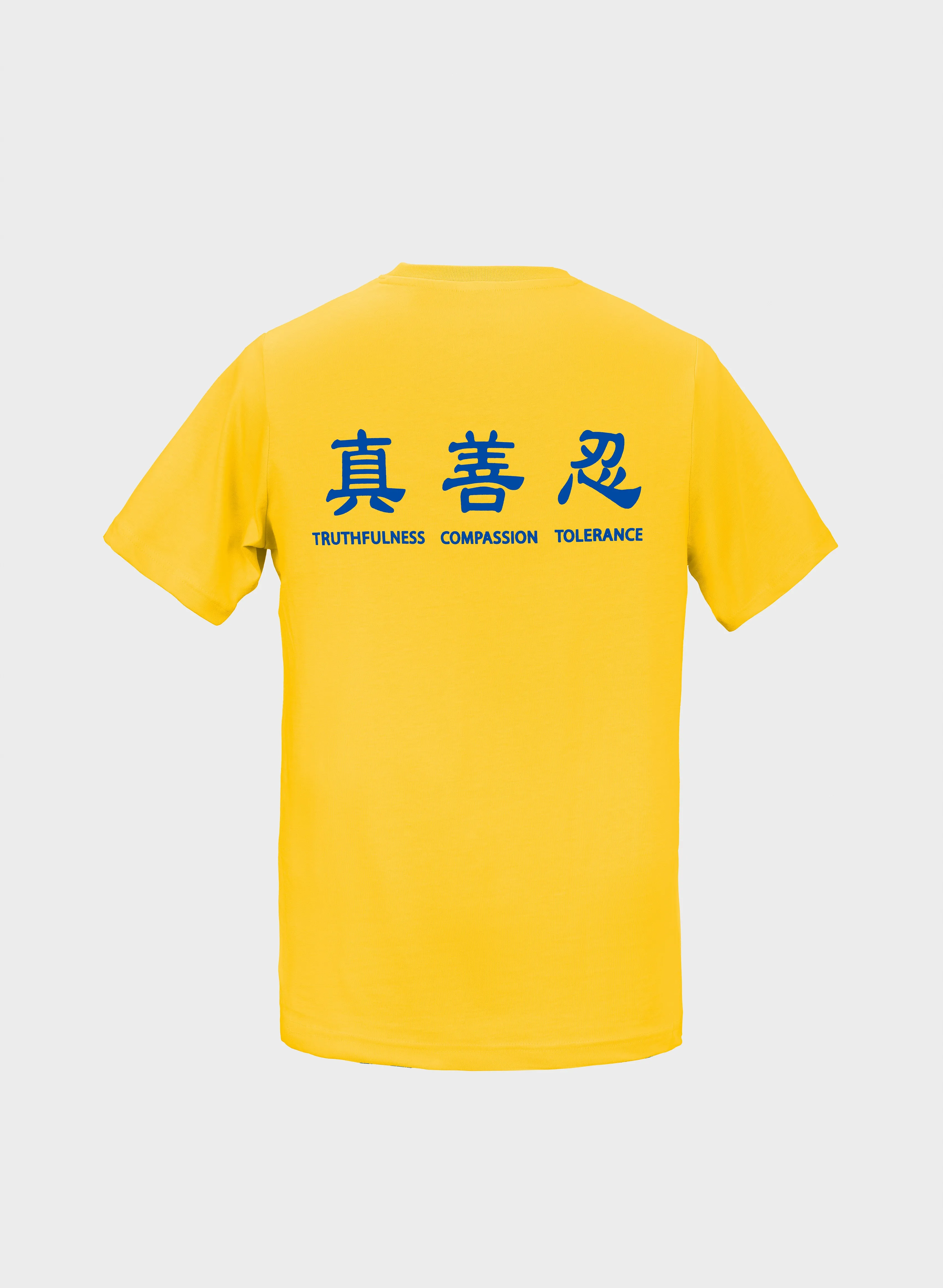 Truthfulness, Compassion, Tolerance T-Shirt (2023-1)